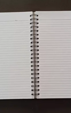 image loading...